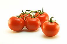 Fresh Vine Tomatoes - Product Photography