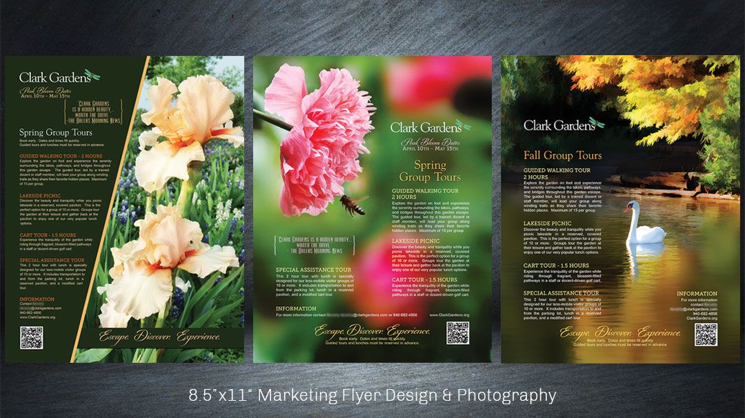 Flyer/brochure design and photography services