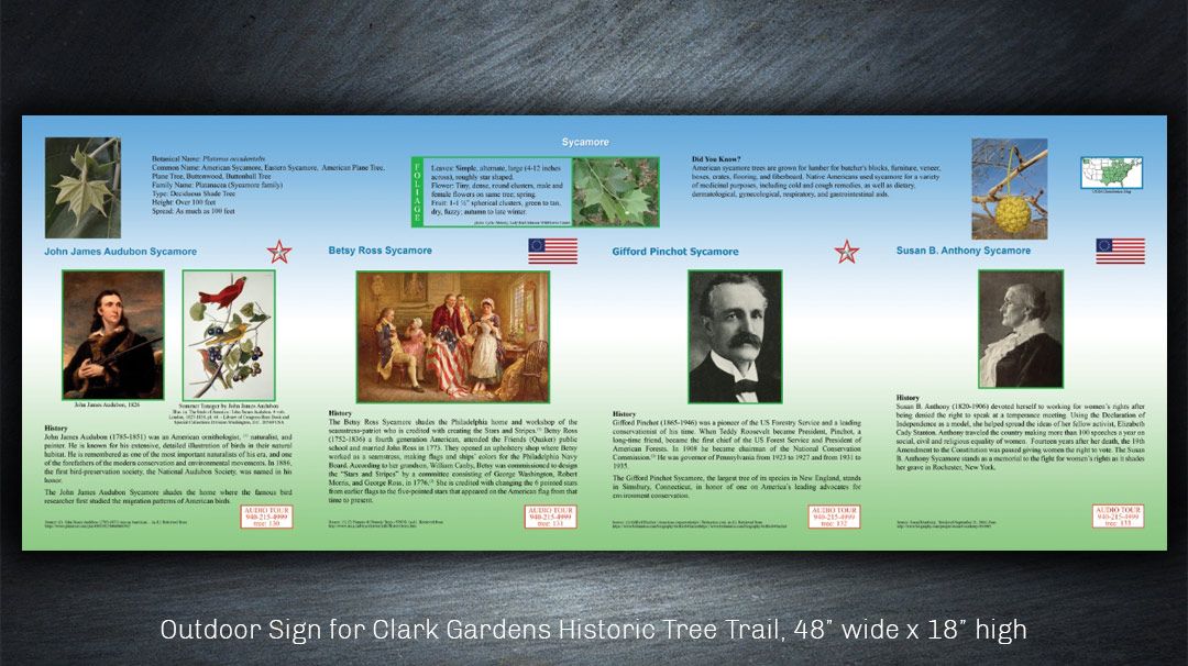 Outdoor historic tree trail sign design for Clark Gardens