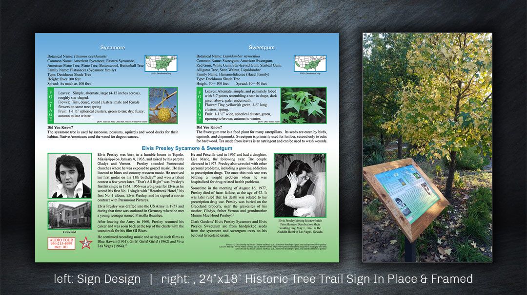 Outdoor historic tree trail sign design for Clark Gardens