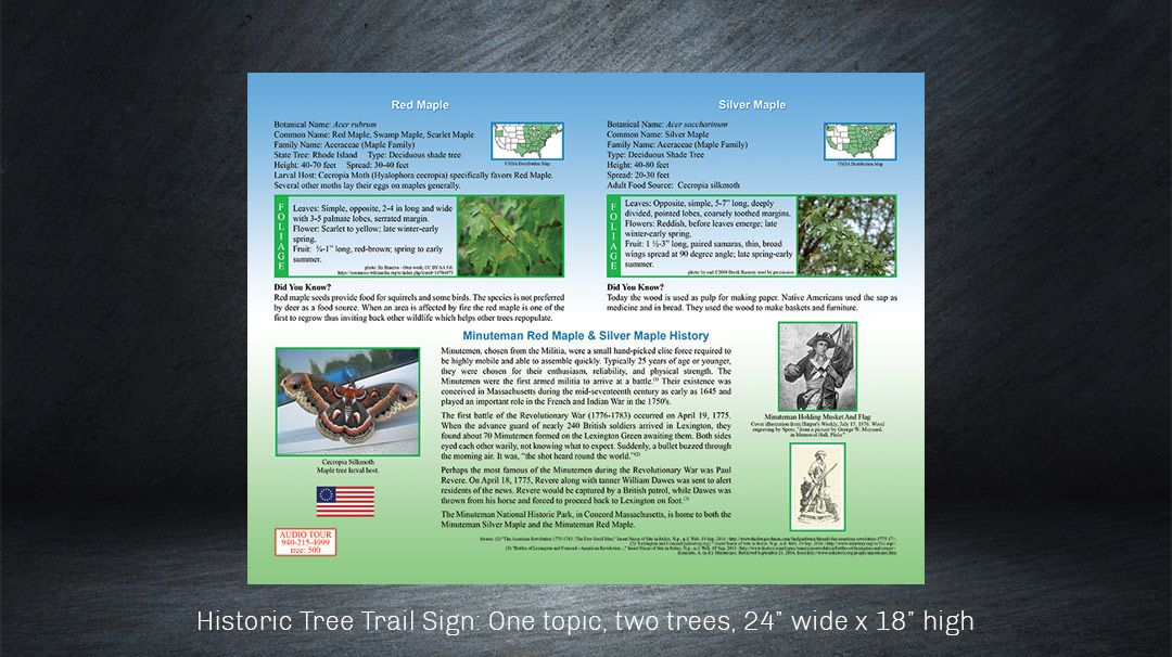 Outdoor historic tree trail sign design for Clark Gardens