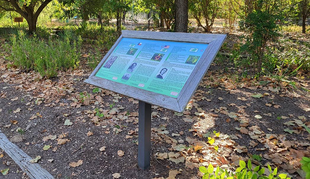 Historic Tree Trail sign at Clark Gardens